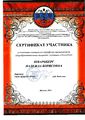 Сертификат участника конкурса Шварцберг Н.Б. 2014 МДНТХТ.jpg