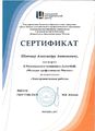 Сертификат молодые профессионалы 2017.JPG