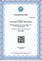 Костикова М ИКТ-компетентность 2023г.jpg