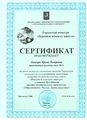 Сертификат Городского конкурса Липская И.Л.jpg