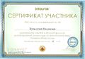 Сертификат Кузьмичев Владислав.jpg