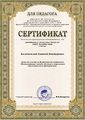 Сертификат участника Всероссийской конференции Коломенский Е.В..jpg