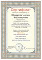 Сертификат о создании сайта Шануриной М.В..jpg