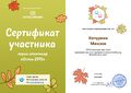 Сертификат участника проекта Интолимп Капуркин Метелкина 2015.jpg