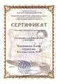 Сертификат участника городского конкурса эссе Черепановой Е.В.jpg