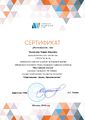 Сертификат эксперта отборочного этапа Мастерская сказки 2019 .jpg