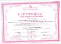 Сертификат участника Семигин К.С.jpg