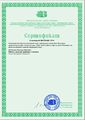 Сертификат2008-2009 МЕтёлкина Н.И.jpg