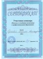 Сертификат Семинар Рубцова М.А.JPG