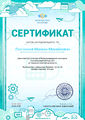 Сертификат об участии internet-pravila.ru Локтионов.jpg