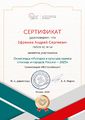 Сертификат История храмов Ефремов Лигай 2025.jpg