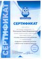 Сертификат Сервисная Академия Самсунг Плотников П.В..jpg