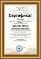 Сертификат Педагогический журнал Щесняк О.К.jpg