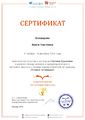 Сертификат участника Страна читающая-Крылов Болдырева Лигай ноябрь 2016.jpg