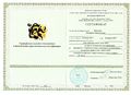 Сертификат Михалева.jpg