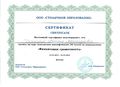 Сертификат о прохождении финансовой грамотности Десетирика М.А.jpg