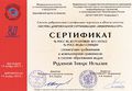 Сертификат Рудзина Т.Н 2013.JPG