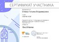 Сертификат Стёжка Т.В.jpg