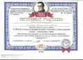 Сертификат Прянчикова.jpg