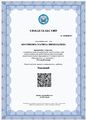 Костикова М русский язык 2024.jpg
