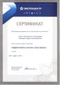 Сертификат 1 участника семинара Шануриной М.В..jpg