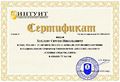 Сертификат ИНТУИТ Хохлов С.Н., 2015.jpg