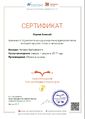 Сертификат участника Страна читающая Маяковский Окунев Вдовина февраль 2017.jpg