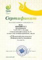 Сертификат Акопян Н.Л. за подготовку команды ИТ.jpg
