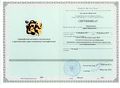 Сертификат о прохождении курсов повышения квалификации.jpg