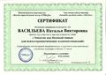 Сертификат Триада Васильева Н.В.jpg